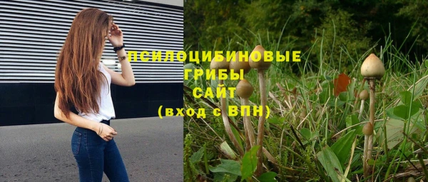 a pvp Вязьма